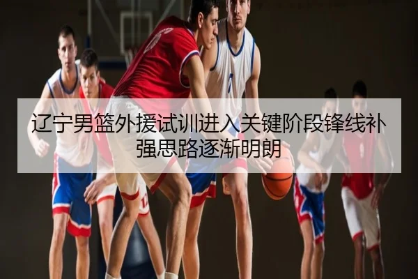 辽宁男篮外援试训进入关键阶段锋线补强思路逐渐明朗